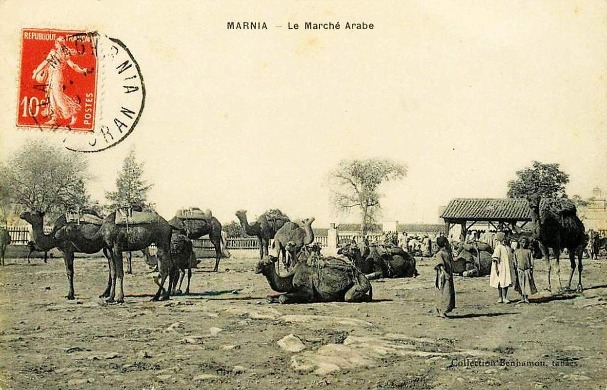 Marnia 289.jpg